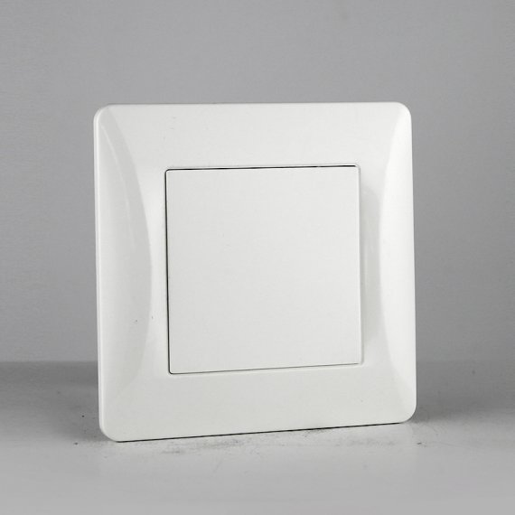 Фотография товара 'Spl 201305 Заглушка (белый) серия BW'