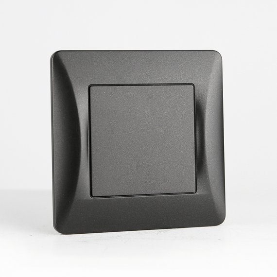 Фотография товара 'Spl 201325 Заглушка (антрацит) серия BW'